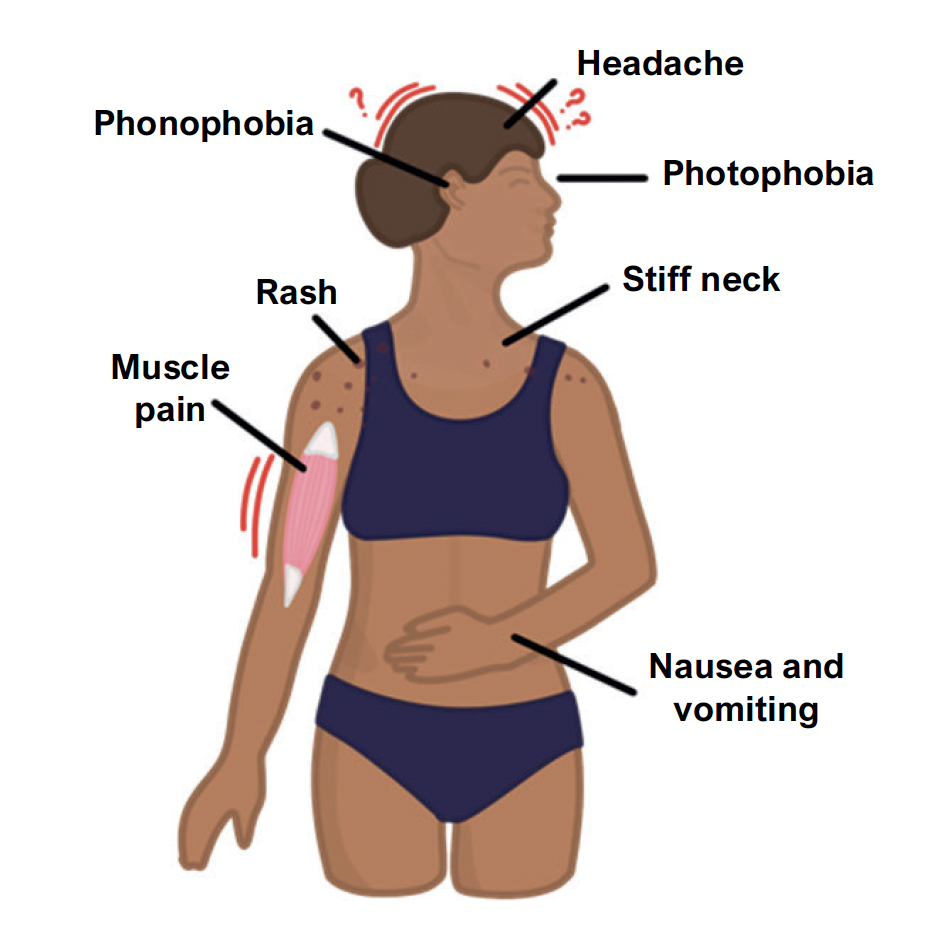 Meningitis