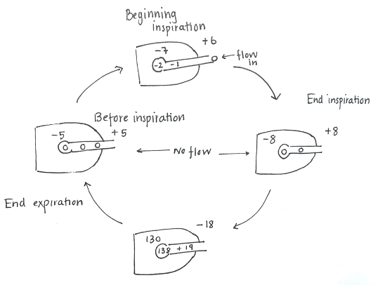 Picture 1 inspiration