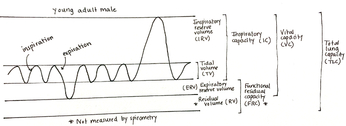 spirometry
