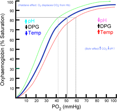 Picture 1 bohr effect