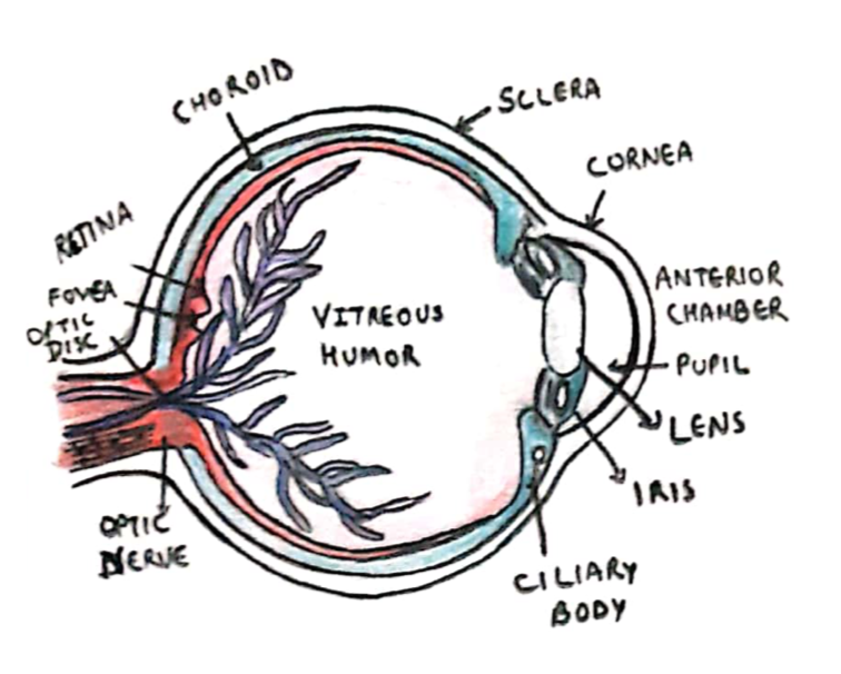 Screenshot 2021-07-22 at 15.23.42 Eye diagram