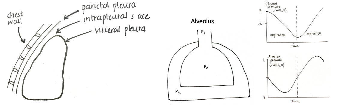 Screenshot 2021-08-29 at 13.23.28 ventilation