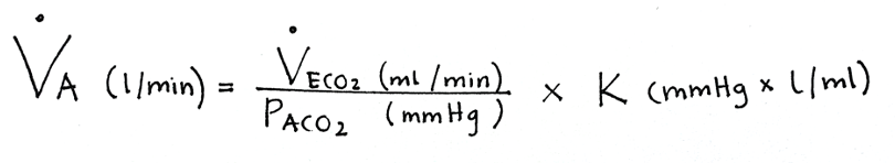 Screenshot 2021-08-29 at 13.35.02 alveolar ventilation