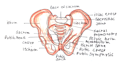 Picture 1