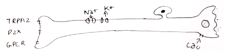 Screenshot 2021-09-02 at 19.04.53