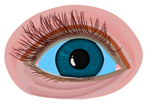 osteogenesis imperfecta