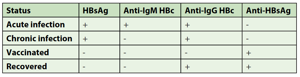 Hep B copy