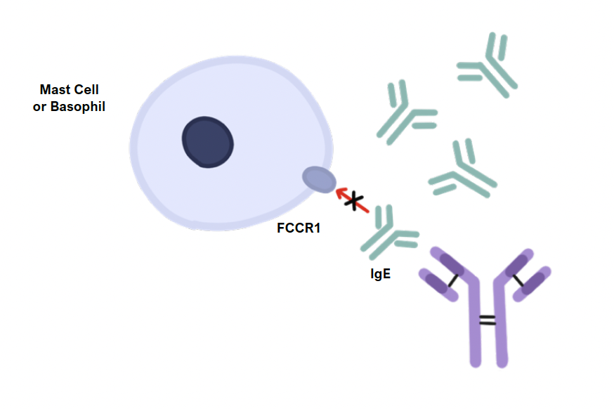 Omalizumab