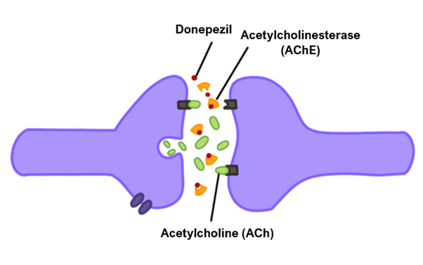 PDE inhibitors