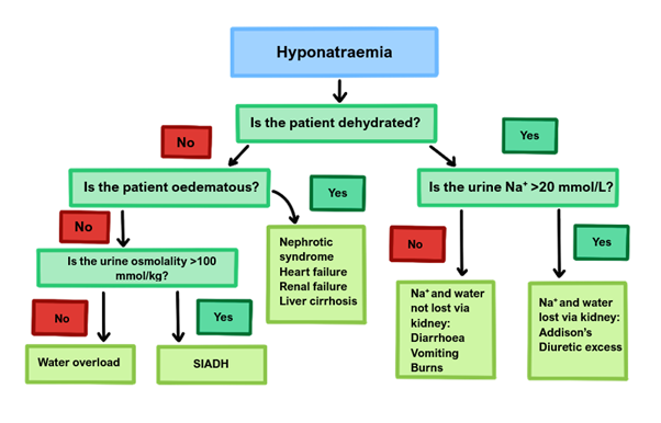 HYPONATRAEMIA