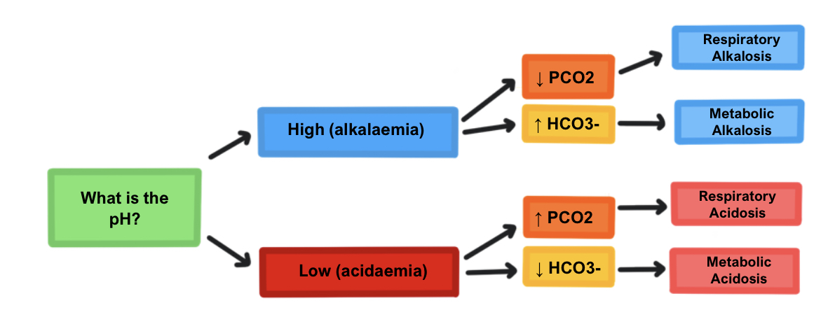 IMG-0701 arterial blood gas