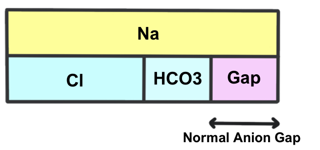 IMG-0702 anion gap