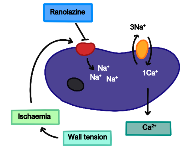 Ranolazine