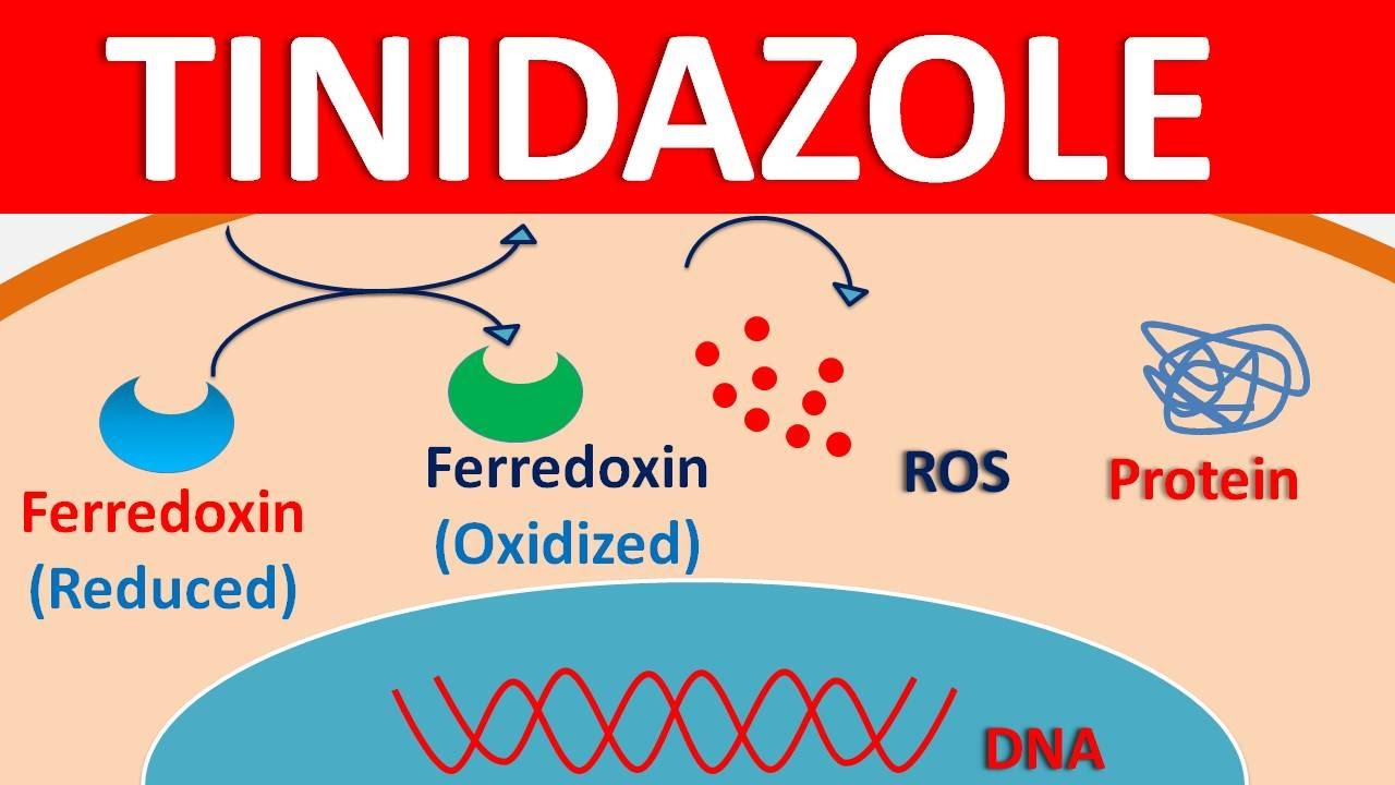 tinidazole