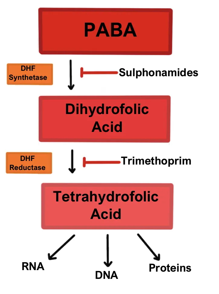Co-trimoxazole